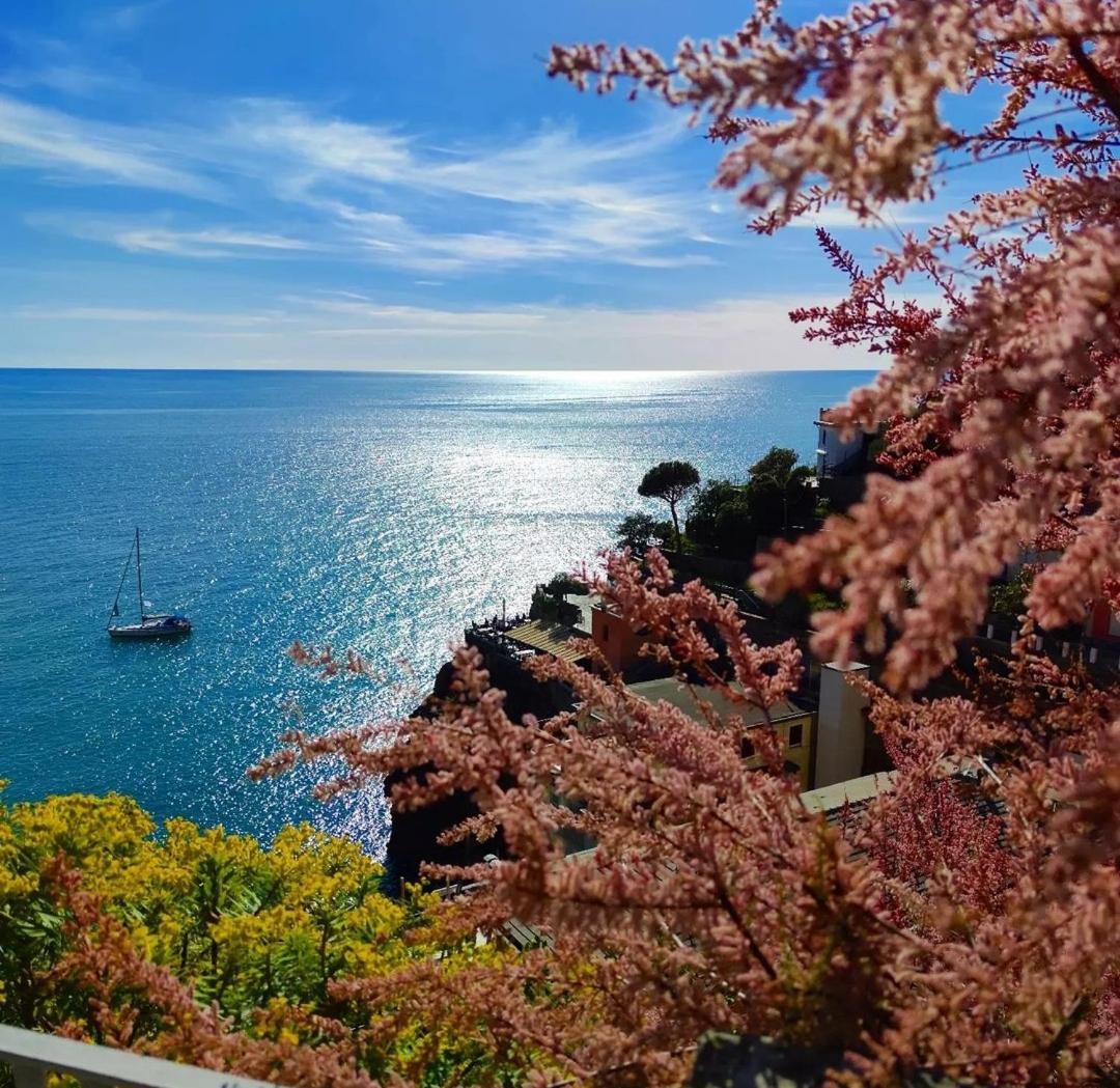 Exotic Flavour House Hotel La Spezia Buitenkant foto